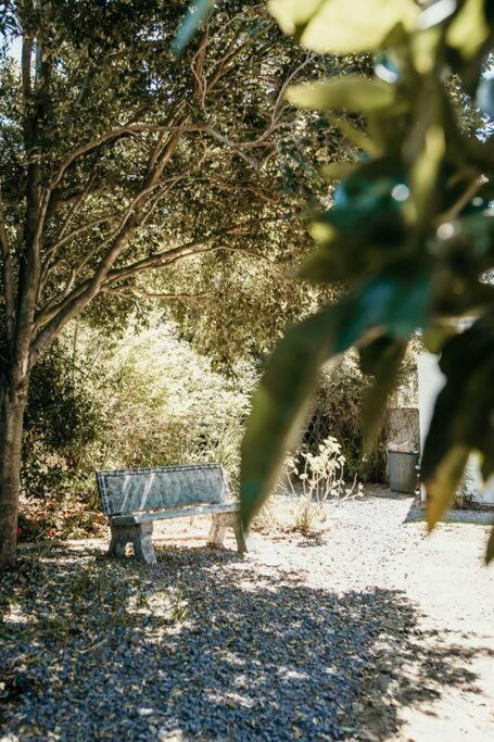 Classic Greyton Cottage For Two المظهر الخارجي الصورة