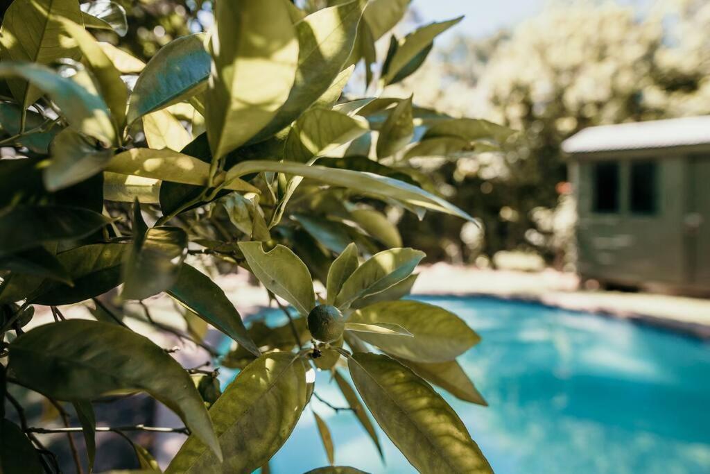 Classic Greyton Cottage For Two المظهر الخارجي الصورة